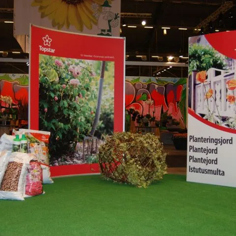display_massa